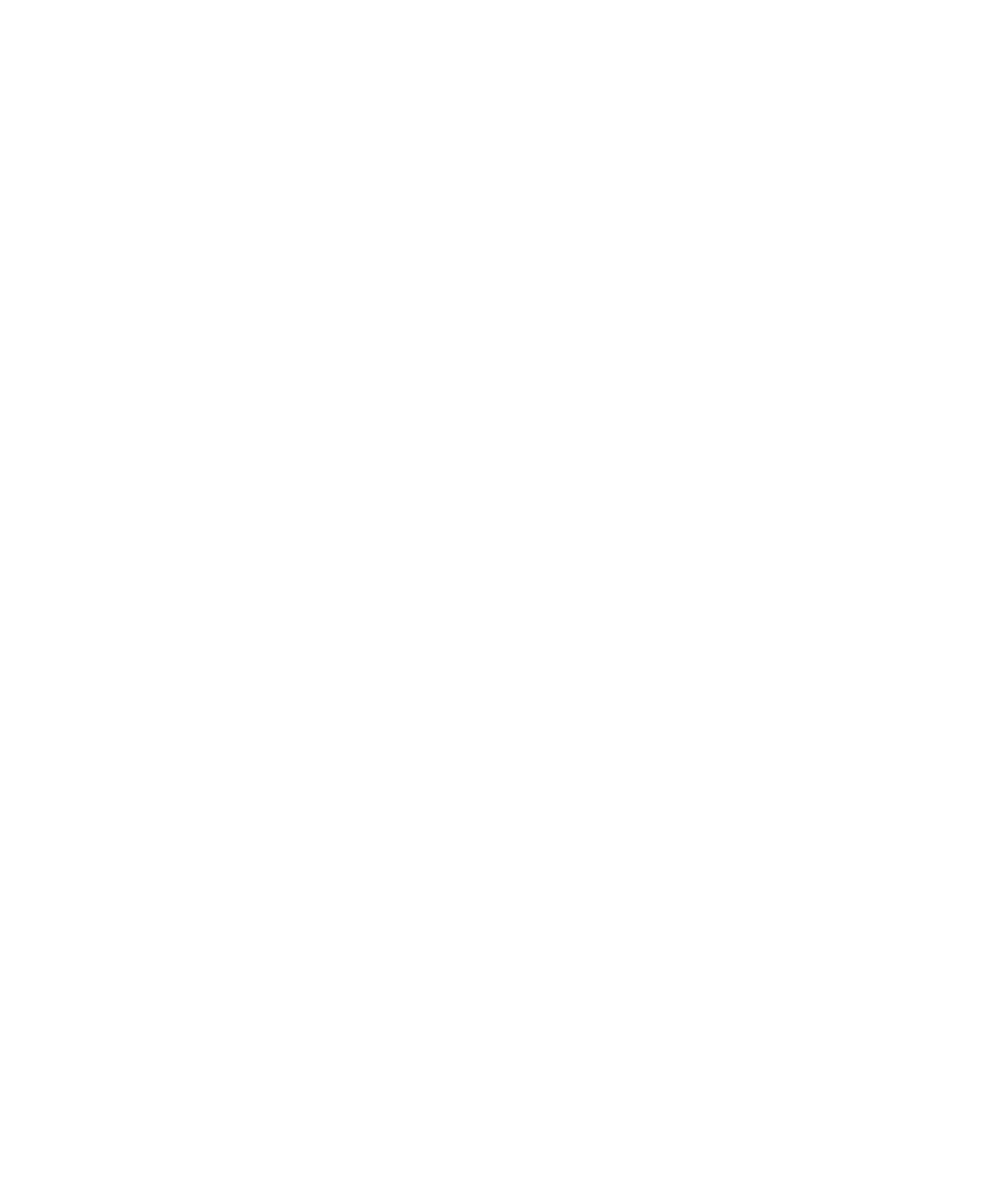 V Logo